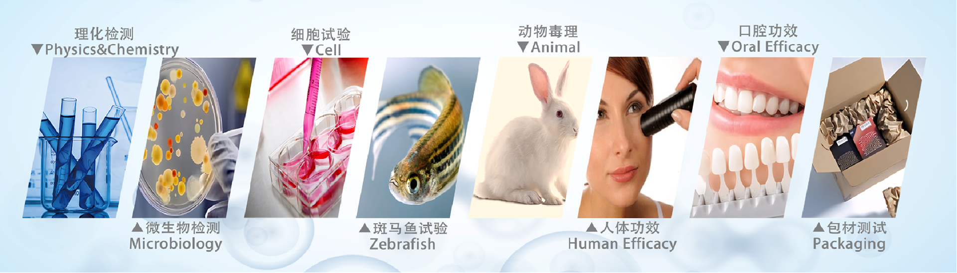 图片12.png
