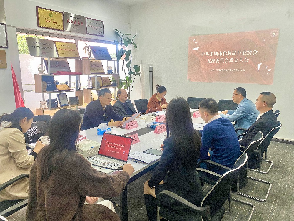 中共深圳市化妆品行业协会党支部成立大会圆满召开